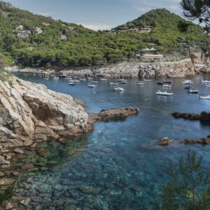 Costa bavra